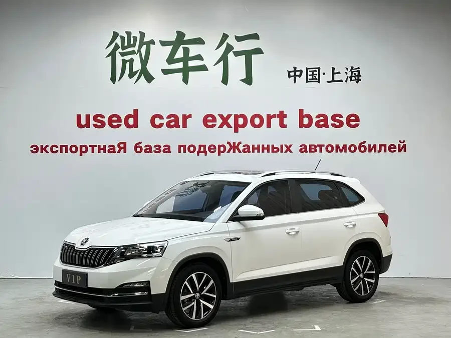 Skoda Kamiq Komic 2023 1.5L automatic comfort version 2023 — фото 1, купить с доставкой в Москву