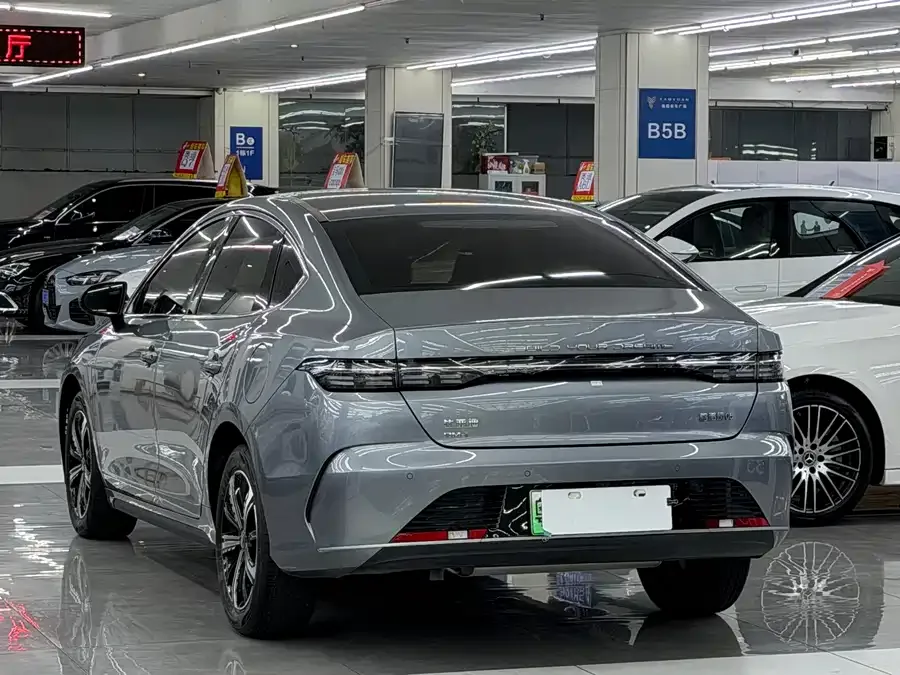 BYD destroyer 05 Destroyer 05 2023 Champion Edition DM-i 120KM Flagship 2024 — миниатюра 3