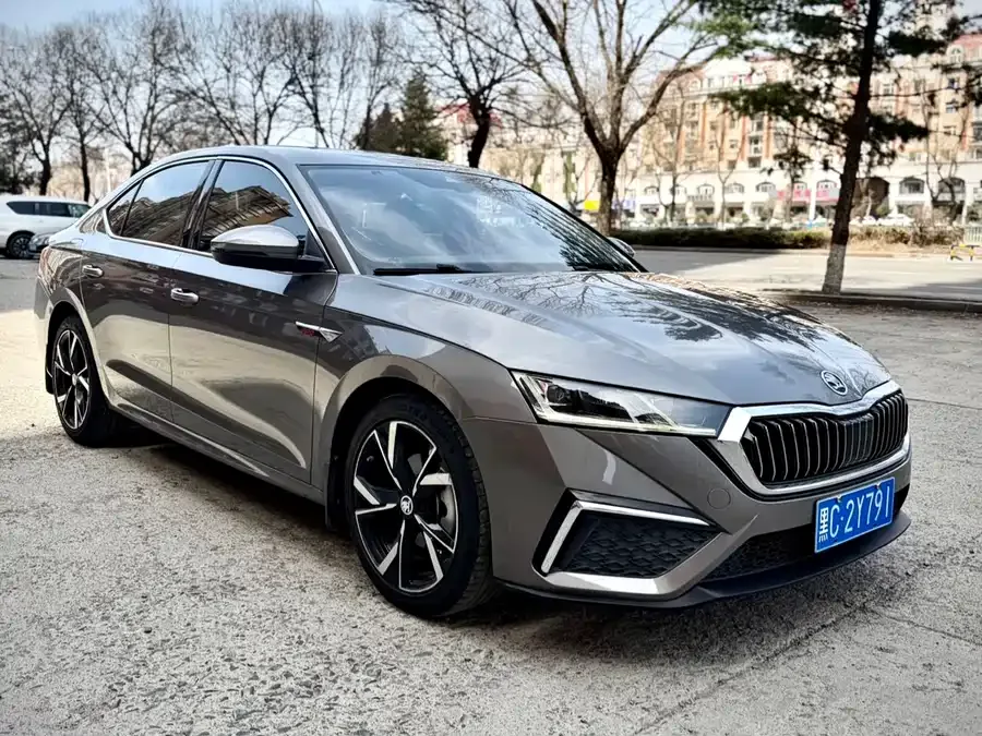 Skoda Octavia Octavia 2022 PRO TSI280 Luxury Edition 2022 — миниатюра 3