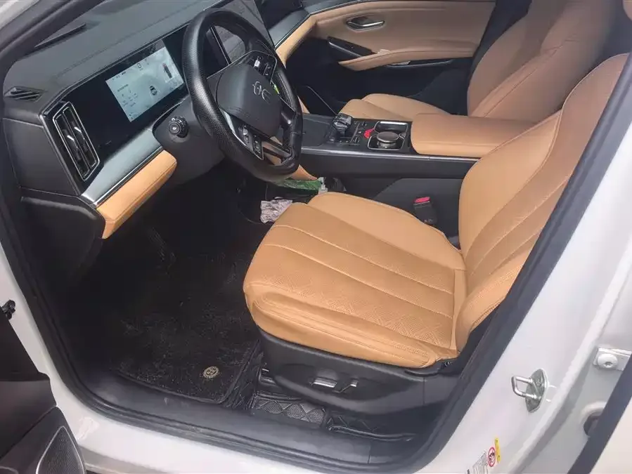 BYD Song L DM-i Song L DM-i 2024 112km Leading Model 2025 — миниатюра 3