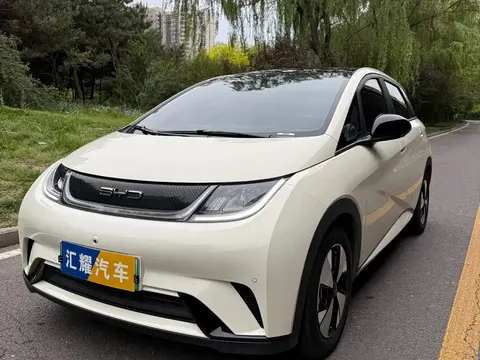 BYD Dolphin 2023 buy in Moscow