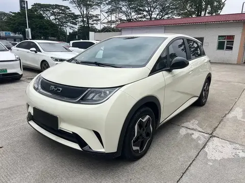 BYD Dolphin 2025 buy in Moscow