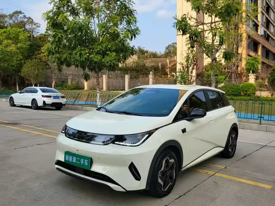 BYD Dolphin Dolphin 2025 Smart Driving Edition 420km Free Edition 2025 — фото 1, купить с доставкой в Москву