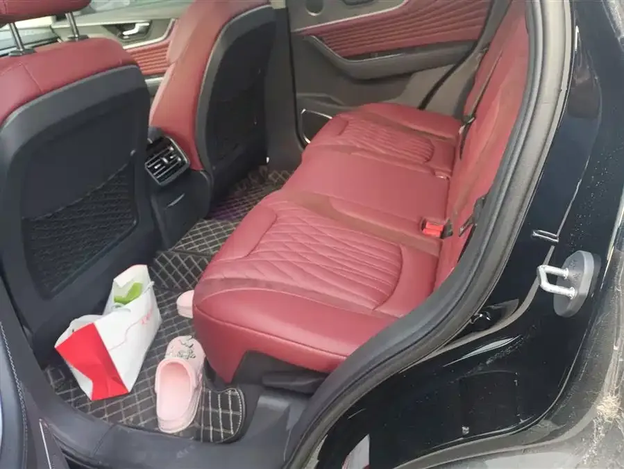 Hongqi HS5 Hongqi HS5 2023 2.0T Flagship Pro Edition 2023 — миниатюра 5