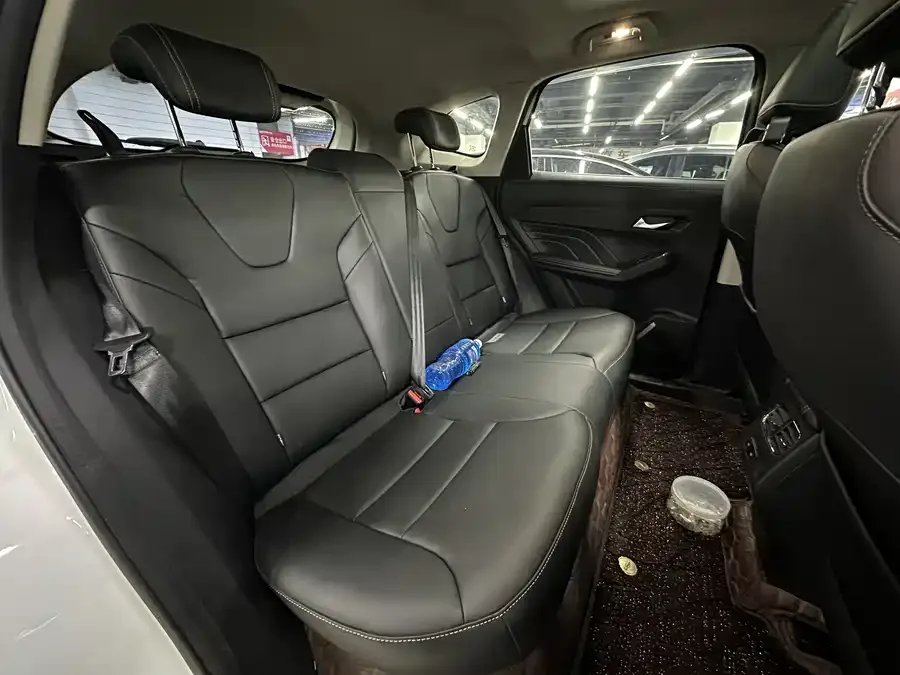 Haval Chitu (Red Rabbit) Haval Chitu 2022 Jinxiang Edition 1.5T Bronze Rabbit 2022 — миниатюра 4