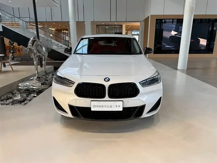 BMW X2 2023 sDrive25i M Sport Night Edition 2024 — миниатюра 2