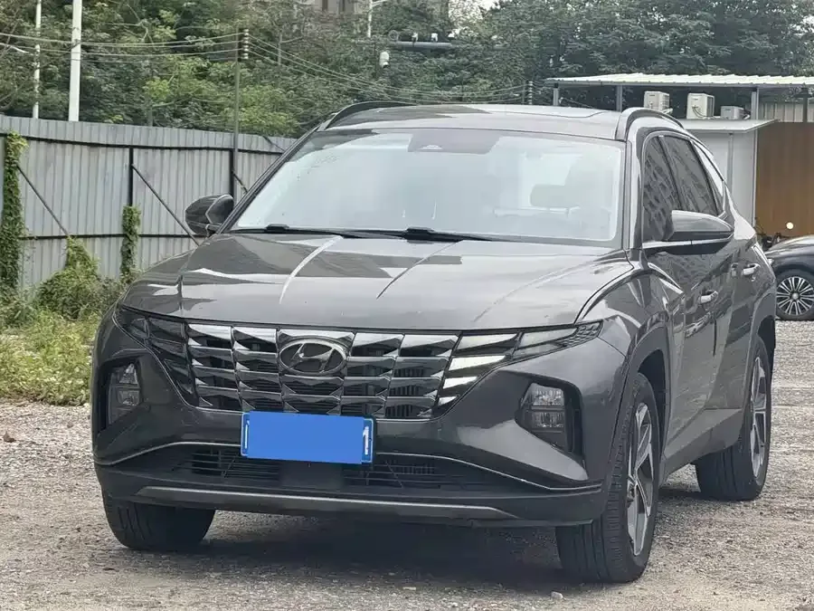 Hyundai Tucson L Tucson 2023 Tucson L 1.5T Automatic 2WD DLX Luxury Edition 2023 — фото 1, купить с доставкой в Москву