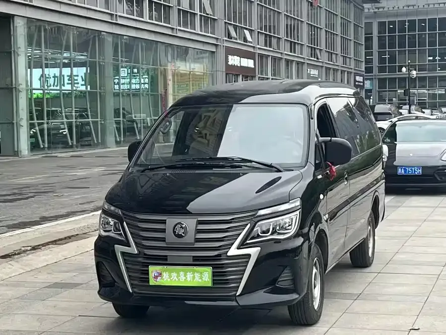 Dongfeng Lingzhi New Energy Lingzhi New Energy 2023 Passenger Edition Classic 5-seater 2024 — фото 1, купить с доставкой в Москву