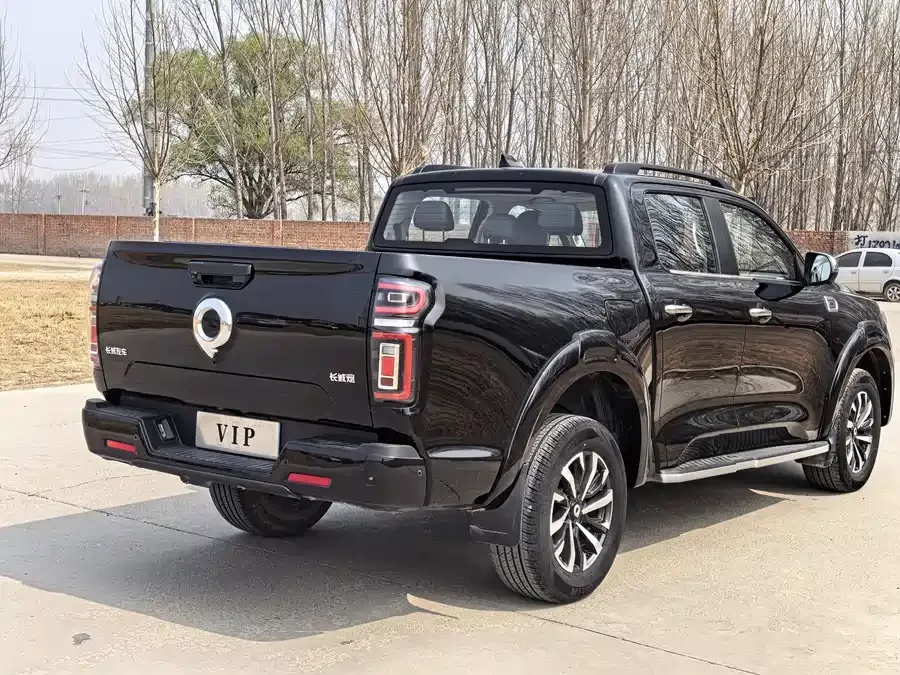 Great Wall gun 2023 2.0T Passenger Edition Automatic Gasoline Four-wheel Drive Premium GW4C20B 2024 — миниатюра 2