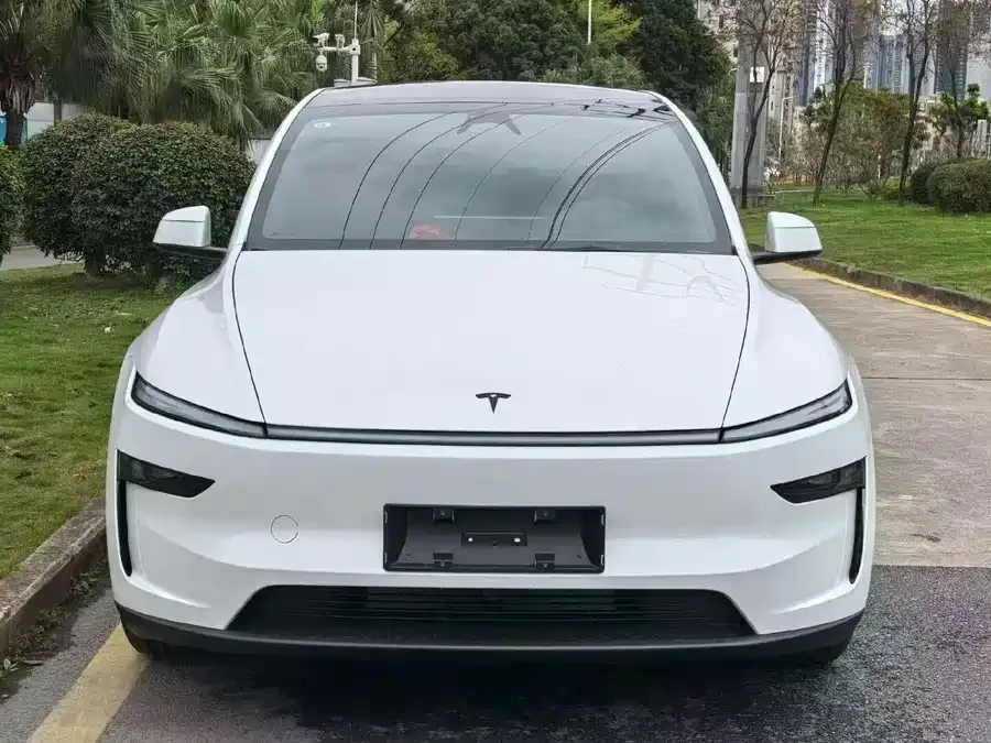 Tesla Model YL Model YL 2025 long-range all-wheel drive version 2025 — фото 1, купить с доставкой в Москву