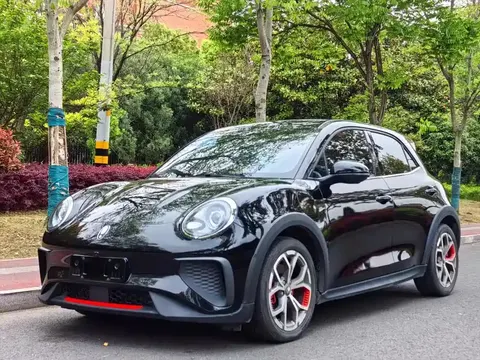 ORA Good Cat GT 2024 купить в Москве