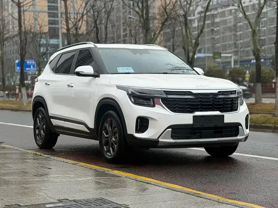Kia Cyrus (Seltos) 2023 Certus 1.5L CVT Luxury Edition 2023 — миниатюра 3