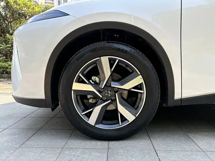 Venucia Big V DD-i Venucia V DD-i 2025 Orca 150km Joyful Tour Edition 2025 — миниатюра 2