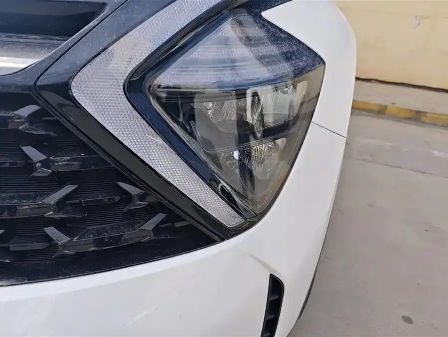 Kia Lion Platinum 2023 Lion Bo Tuojie 1.5T 2WD Premium Edition 2024 — миниатюра 2