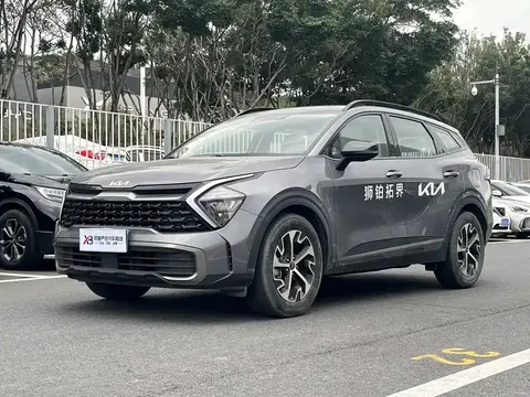 Kia Lion Platinum 2023 купить в Москве