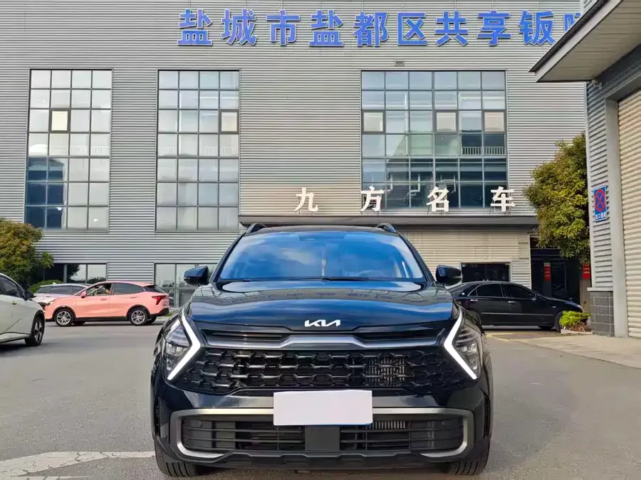 Kia Lion Platinum Lion Bo Tuojie 2025 2.0T 2WD Premium Edition 2025 — миниатюра 3