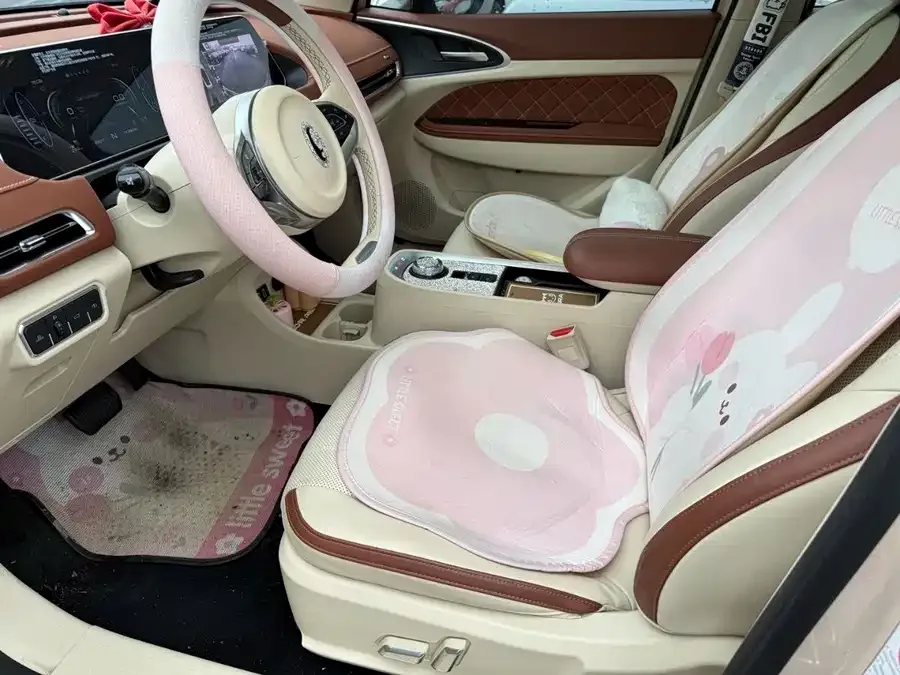 ORA good cat Euler Good Cat 2022 Morandi Edition 400km standard range premium ternary lithium 2022 — миниатюра 3