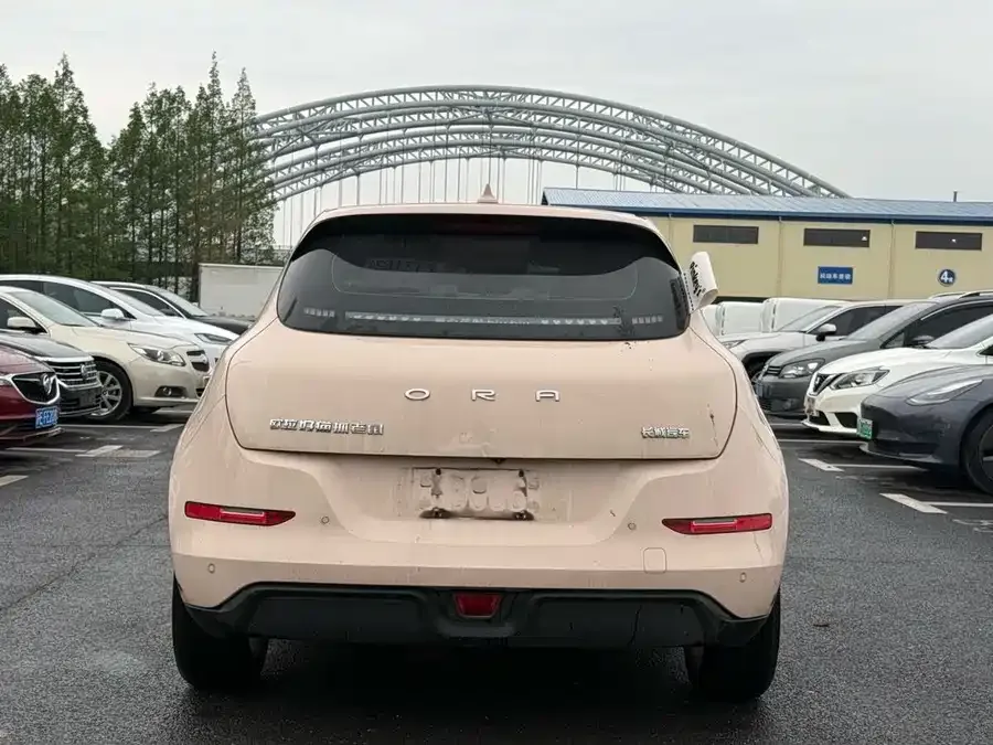 ORA good cat Euler Good Cat 2022 Morandi Edition 400km standard range premium ternary lithium 2022 — миниатюра 4