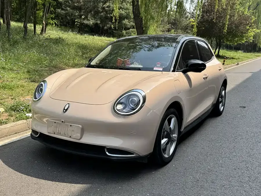ORA good cat Euler Good Cat 2023 401km standard range premium lithium iron phosphate 2023 — фото 1, купить с доставкой в Москву