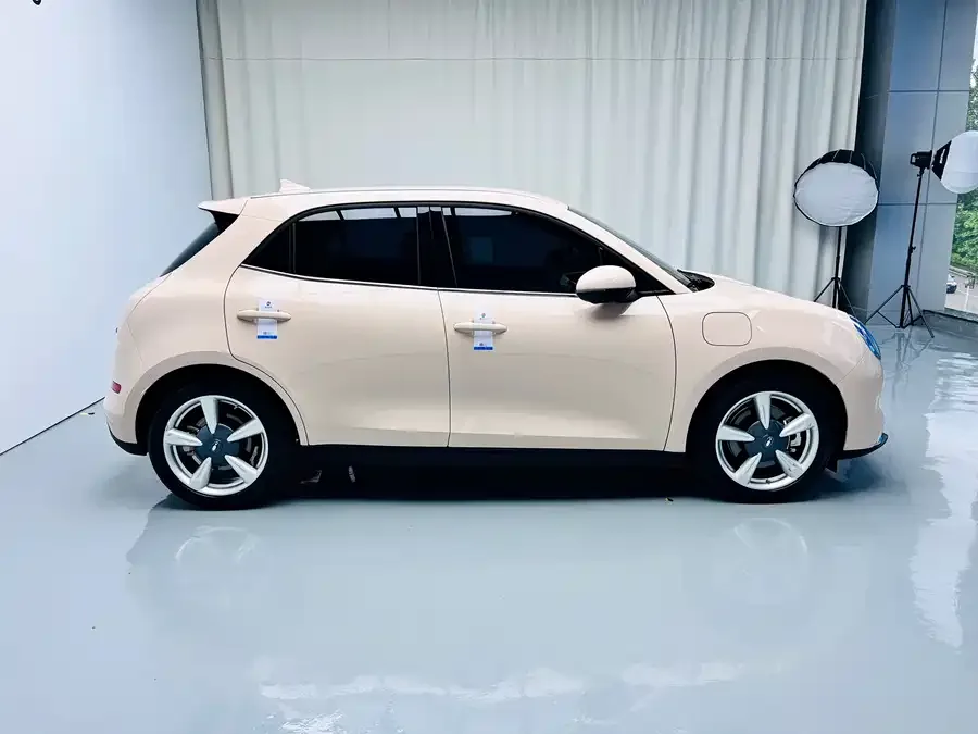 ORA good cat Euler Good Cat 2022 400km standard range luxury lithium iron phosphate 2023 — миниатюра 2