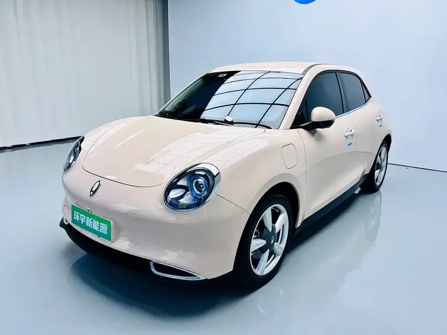 ORA good cat Euler Good Cat 2022 400km standard range luxury lithium iron phosphate 2023 — фото 1, купить с доставкой в Москву
