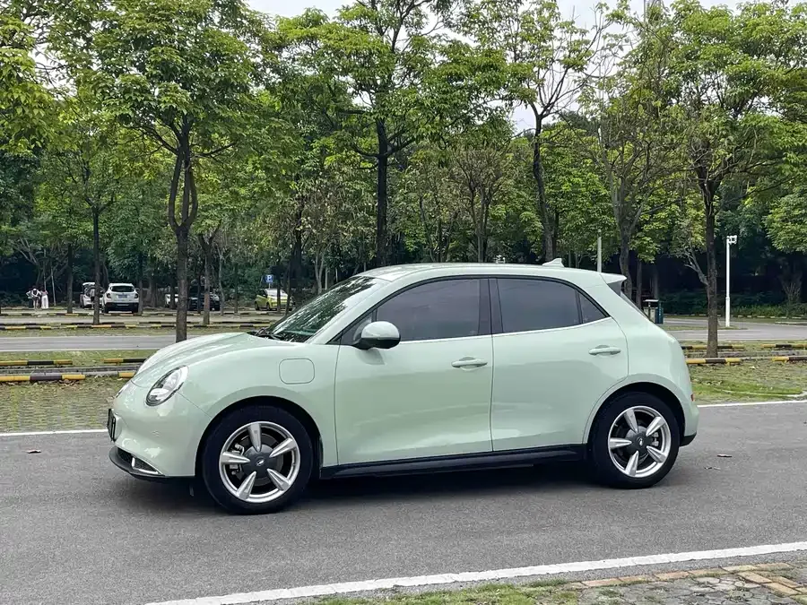 ORA good cat Euler Good Cat 2023 401km standard range luxury lithium iron phosphate 2023 — миниатюра 5