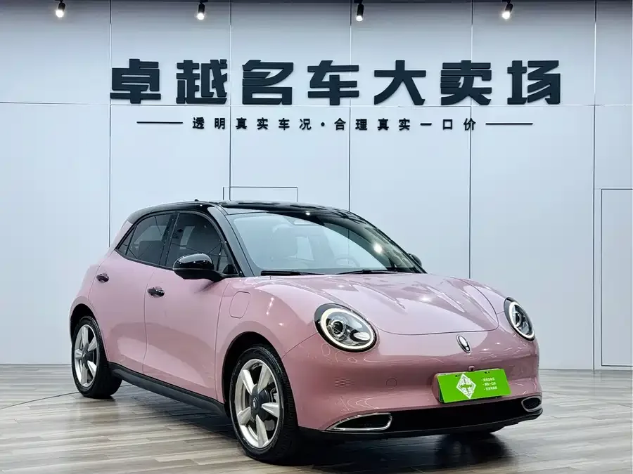 ORA good cat Euler Good Cat 2023 401km standard range luxury lithium iron phosphate 2024 — фото 1, купить с доставкой в Москву