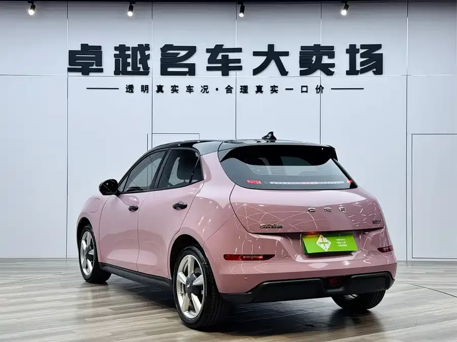 ORA good cat Euler Good Cat 2023 401km standard range luxury lithium iron phosphate 2024 — миниатюра 2