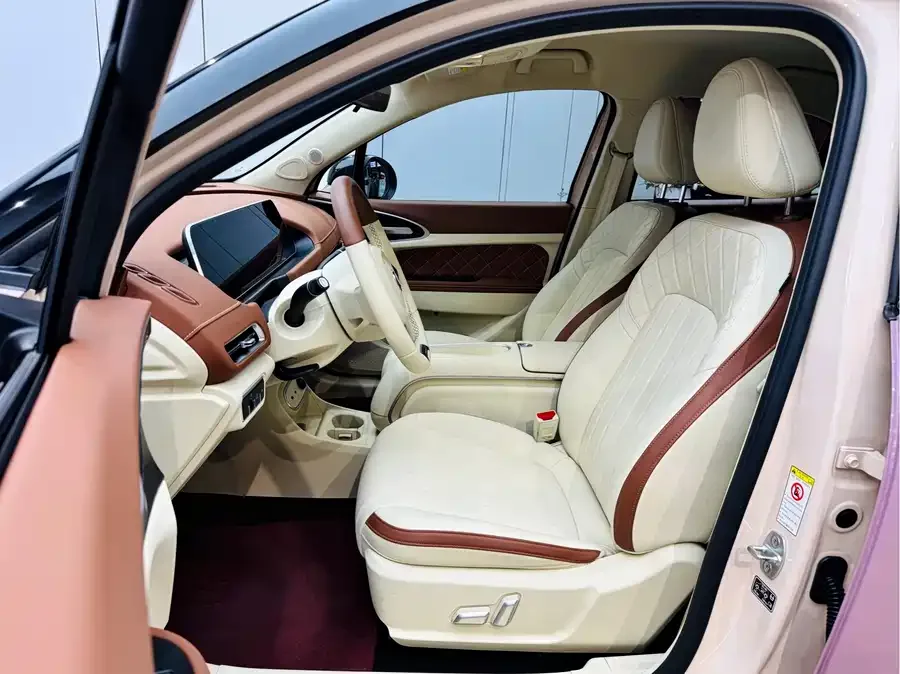 ORA good cat Euler Good Cat 2023 401km standard range luxury lithium iron phosphate 2024 — миниатюра 3