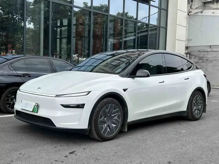 Tesla Model YL Model YL 2025 long-range all-wheel drive version 2026 — фото 1, купить с доставкой в Москву