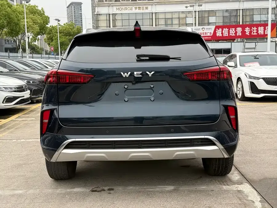 WEY Mocha Wei Mocha 2021 2.0T 2WD Special Edition 2022 — миниатюра 2