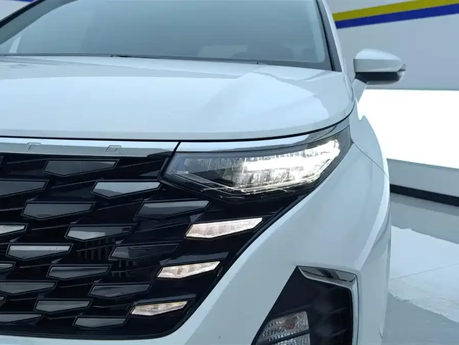 Hyundai Custo Kustu 2021 270TGDi Premium Edition LUX 2023 — миниатюра 2