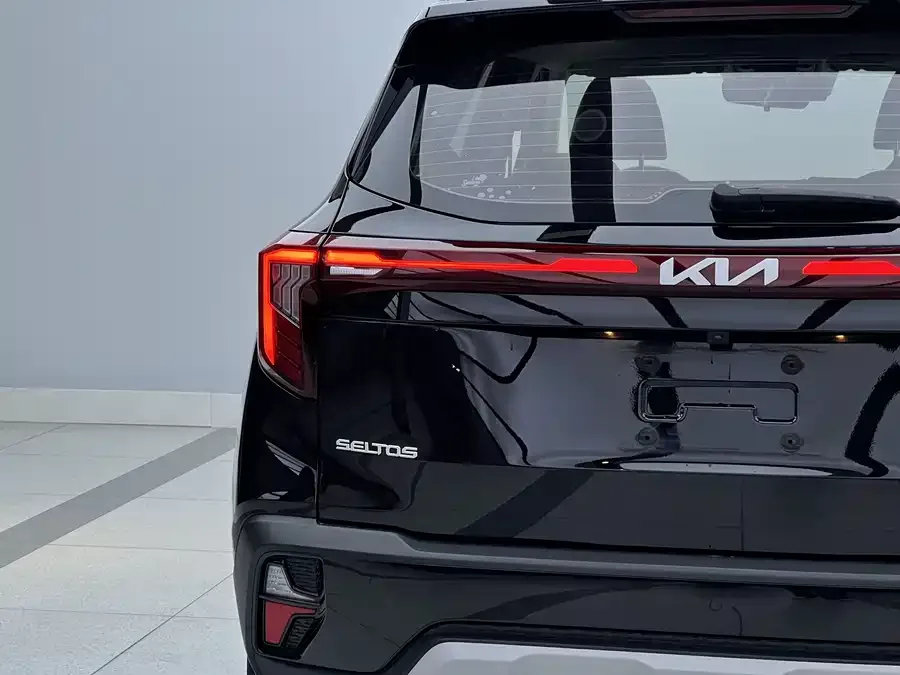 Kia Cyrus (Seltos) 2023 Certus 1.5L CVT Luxury Edition 2024 — миниатюра 2