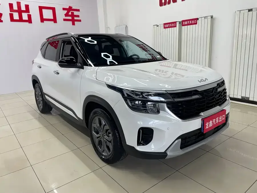 Kia Cyrus (Seltos) 2023 Certus 1.5L CVT Luxury Edition 2023 — миниатюра 3