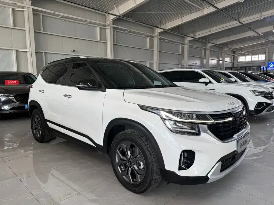 Kia Cyrus (Seltos) 2023 Certus 1.5L CVT Luxury Edition 2023 — миниатюра 3