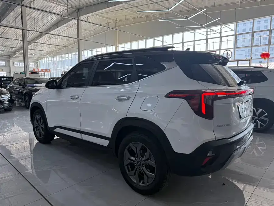 Kia Cyrus (Seltos) 2023 Certus 1.5L CVT Luxury Edition 2023 — миниатюра 4