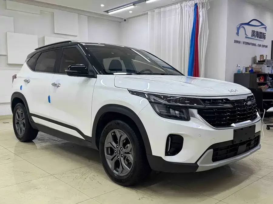 Kia Cyrus (Seltos) 2023 Certus 1.5L CVT Luxury Edition 2023 — миниатюра 3