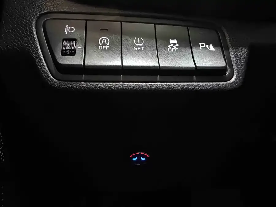 Kia Cyrus (Seltos) 2023 Certus 1.5L CVT Luxury Edition 2023 — миниатюра 5