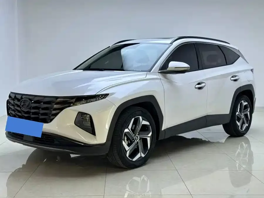 Hyundai Tucson L Tucson 2021 Tucson L 1.5T DCT LUX Premium Edition 2022 — фото 1, купить с доставкой в Москву