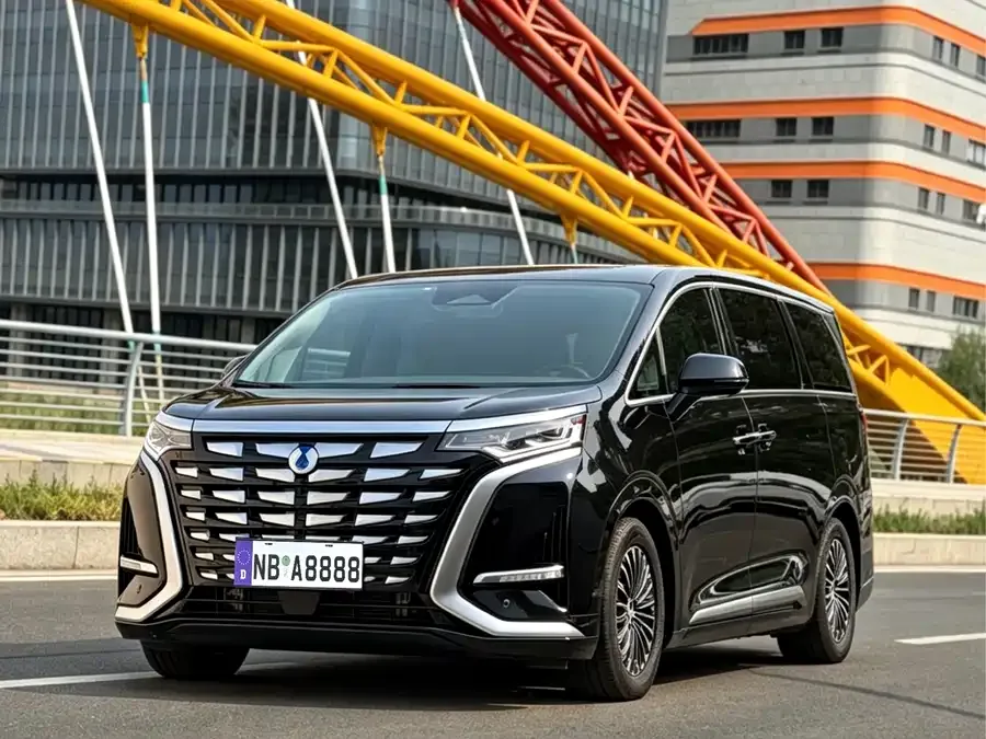 BYD D9 DENZA D9 2022 DM-i 1040 Premium Edition 2023 — фото 1, купить с доставкой в Москву