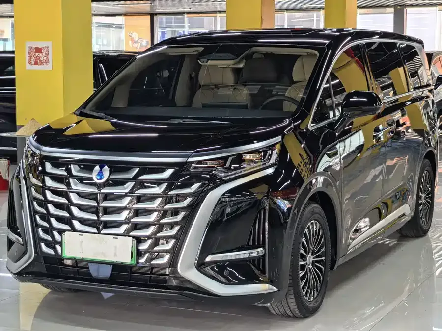 BYD D9 Denza D9 2025 DM-i 2WD Premium Edition 2025 — фото 1, купить с доставкой в Москву
