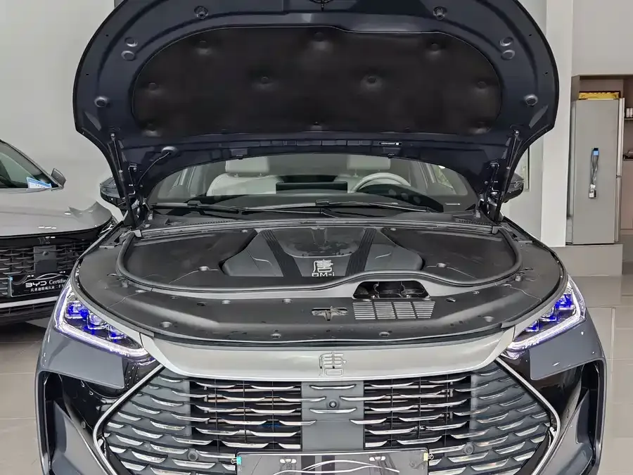 BYD Tang New Energy Tang New Energy 2024 DM-i Honor Edition 112KM Flagship Model 2024 — миниатюра 4