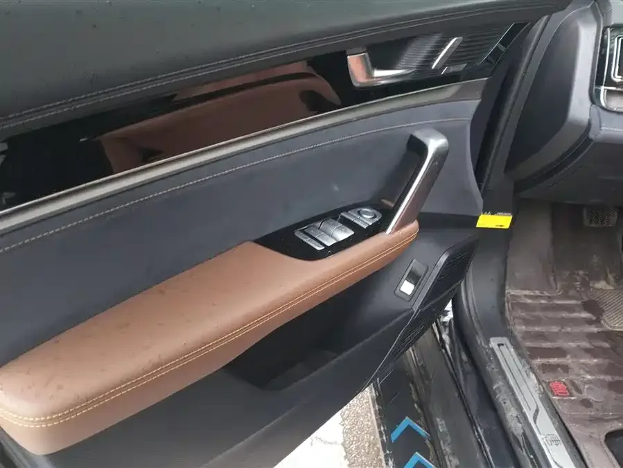 BYD Tang New Energy Tang New Energy 2021 DM-i 112KM Premium Edition 2022 — миниатюра 4