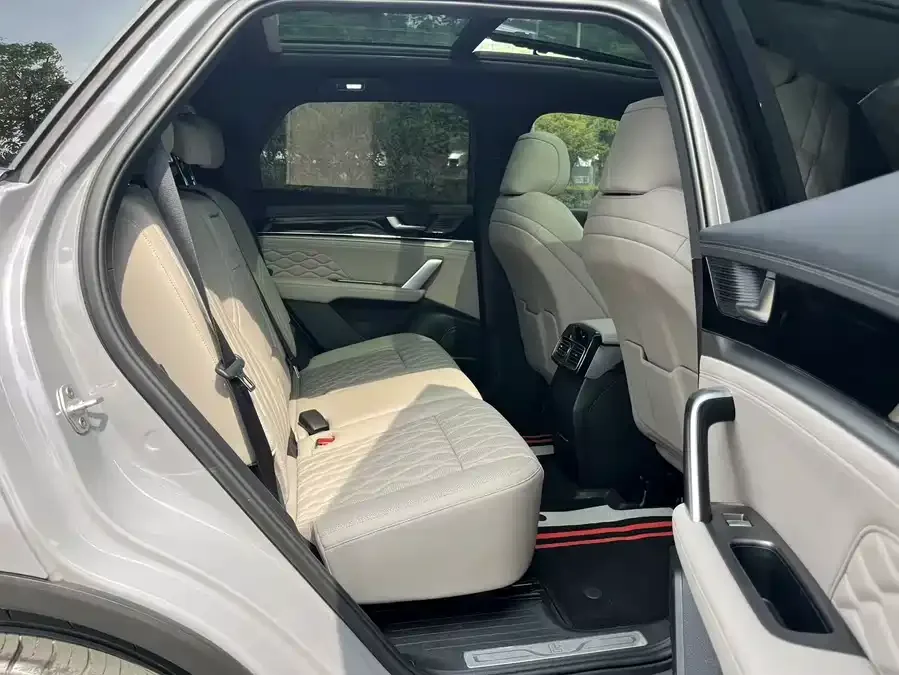 BYD Tang New Energy Tang New Energy 2025 DM-i 115KM Premium Edition 2025 — миниатюра 4