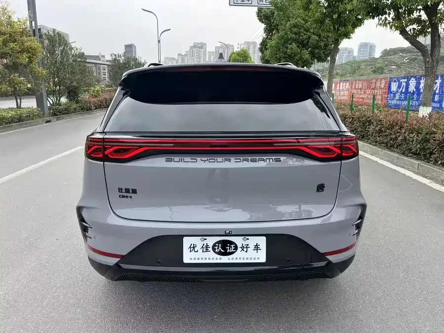 BYD Tang New Energy Tang New Energy 2025 DM-i 115KM Premium Edition 2025 — миниатюра 5