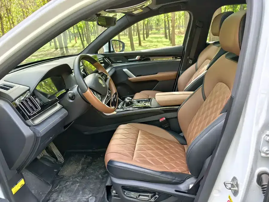 BYD Tang New Energy Tang New Energy 2021 DM-i 112KM Premium Edition 2023 — миниатюра 2