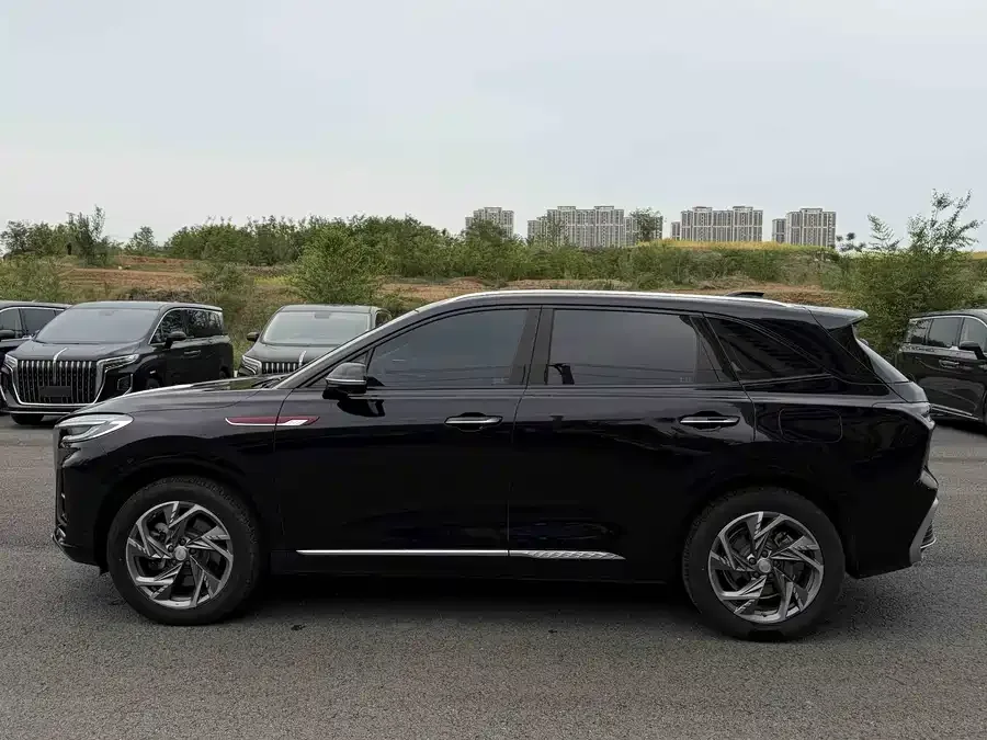 Hongqi HS3 PHEV Hongqi HS3 PHEV 2024 115km Jinwei Edition 2024 — миниатюра 5