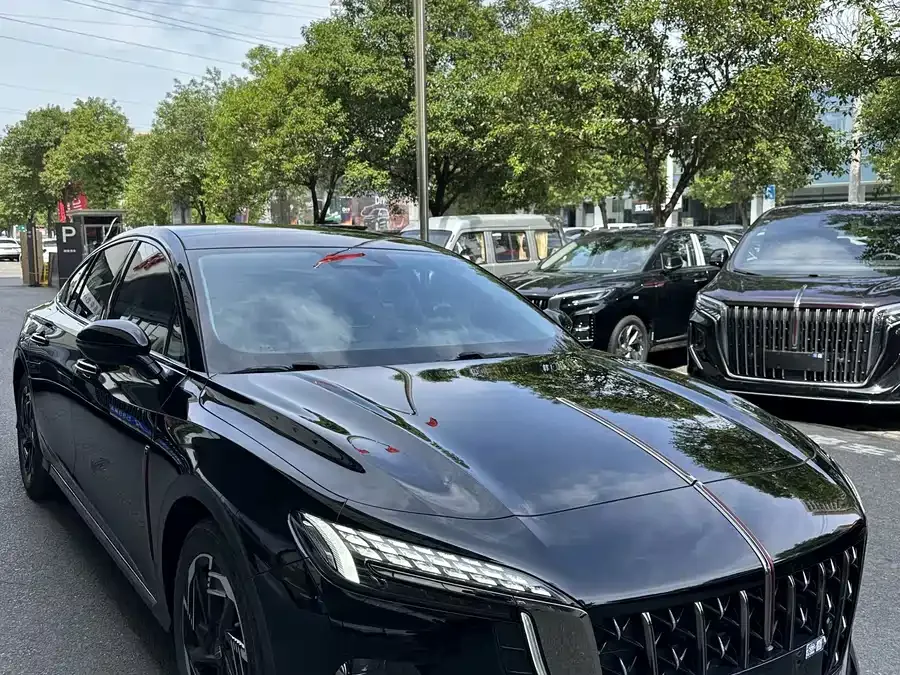 Hongqi H6 Hongqi H6 2024 2.0T American Edition 2024 — миниатюра 3