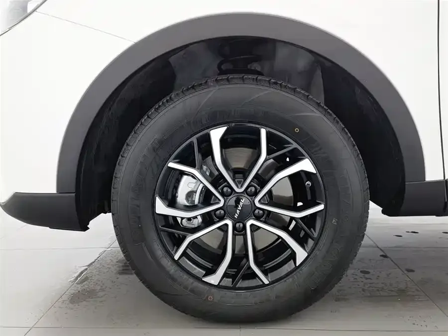 Haval H6 Haval H6 2025 1.5T National Trend Urban Edition 2025 — миниатюра 5