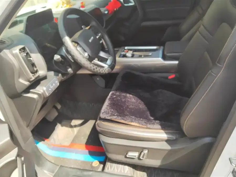 Haval Big dog Haval Big Dog 2021 1.5T DCT 2WD Labrador Edition 2022 — миниатюра 3